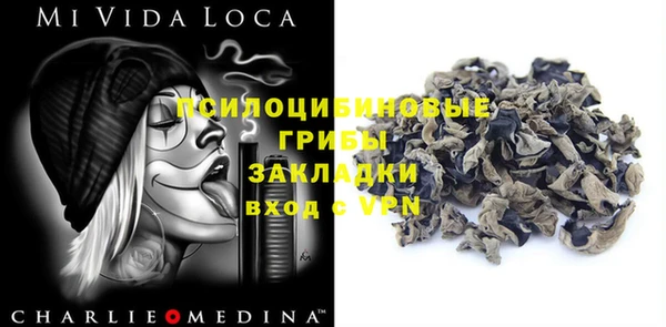 амф Медвежьегорск