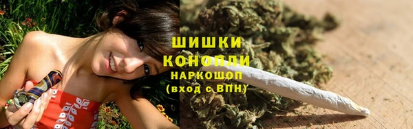 гидра Мегион