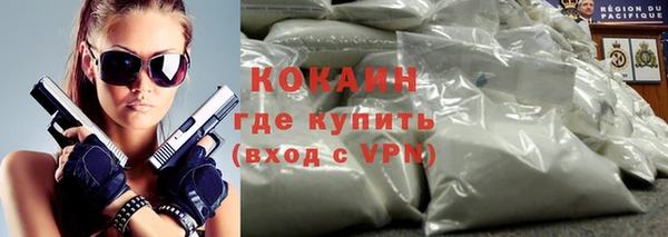 индика Медногорск