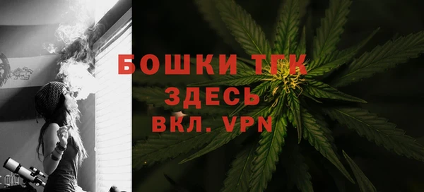 гидра Мегион
