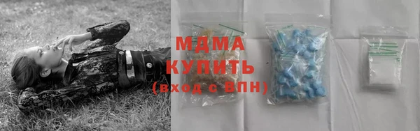 индика Медногорск