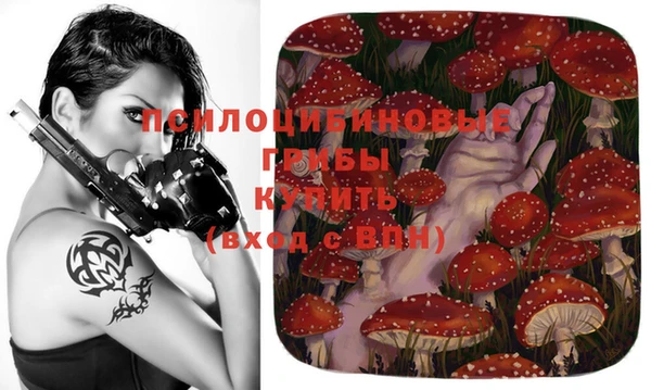 индика Медногорск