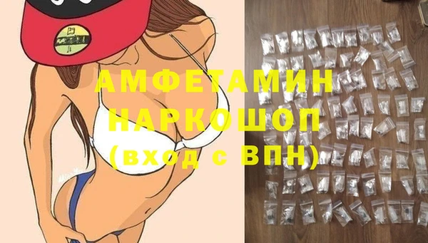 индика Медногорск