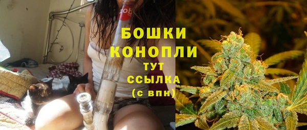 индика Медногорск
