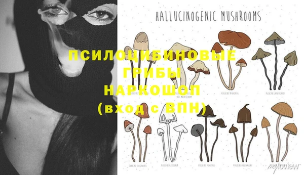 гидра Мегион