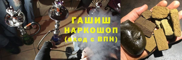 индика Медногорск