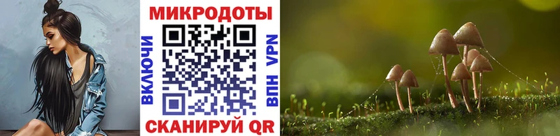 Псилоцибиновые грибы GOLDEN TEACHER  Трубчевск 