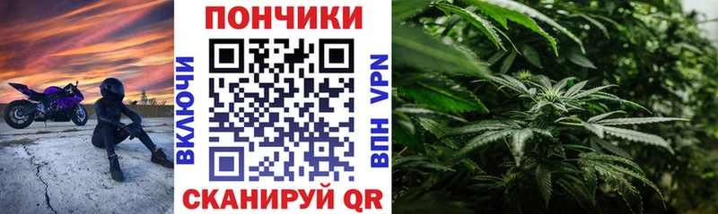 KRAKEN как зайти  Трубчевск  МАРИХУАНА конопля  цены наркотик 